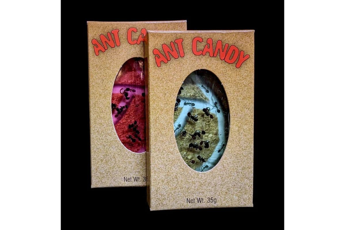 Ant Candy (35 g)