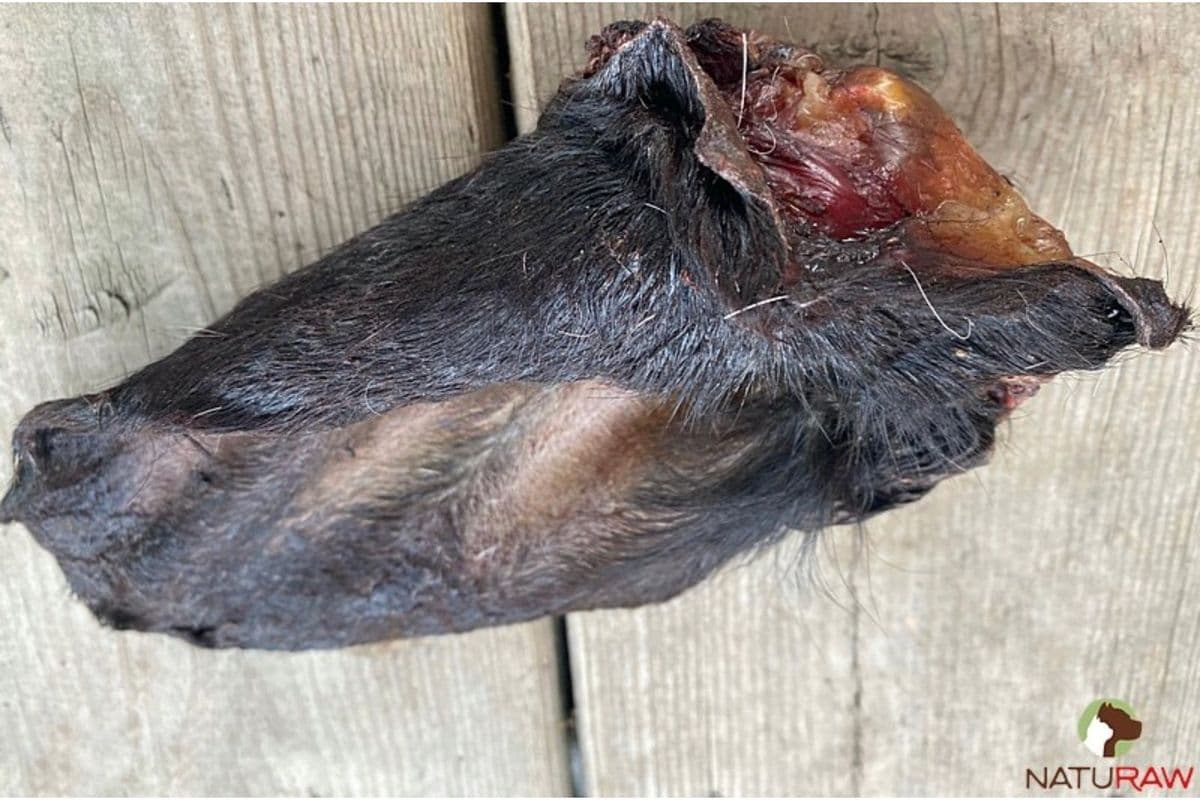 Dehydrated Beef Ear (1 piece)