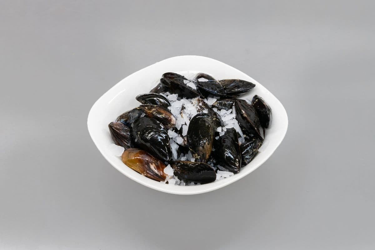Live Salt Spring Mussels (2.5 lb)