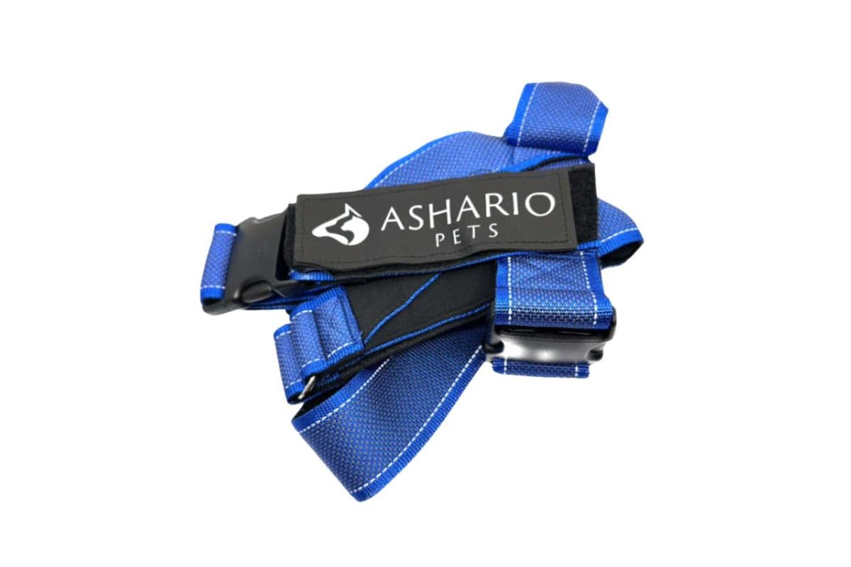 Ashario Pets - "BreezyVest" Summer Lightweight Reflective Harness - Blue - XL (XL)