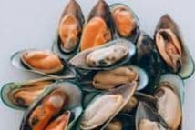 New Zealand Mussels (800 g)