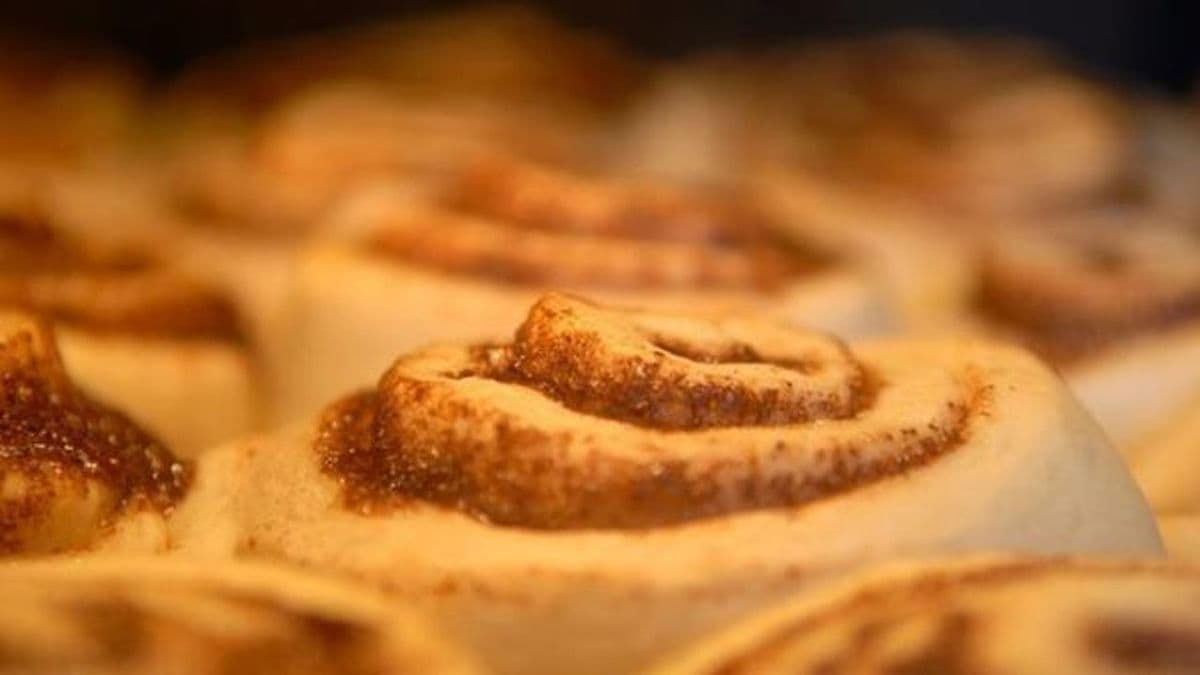Plain Rolls by the dozen (no frosting)