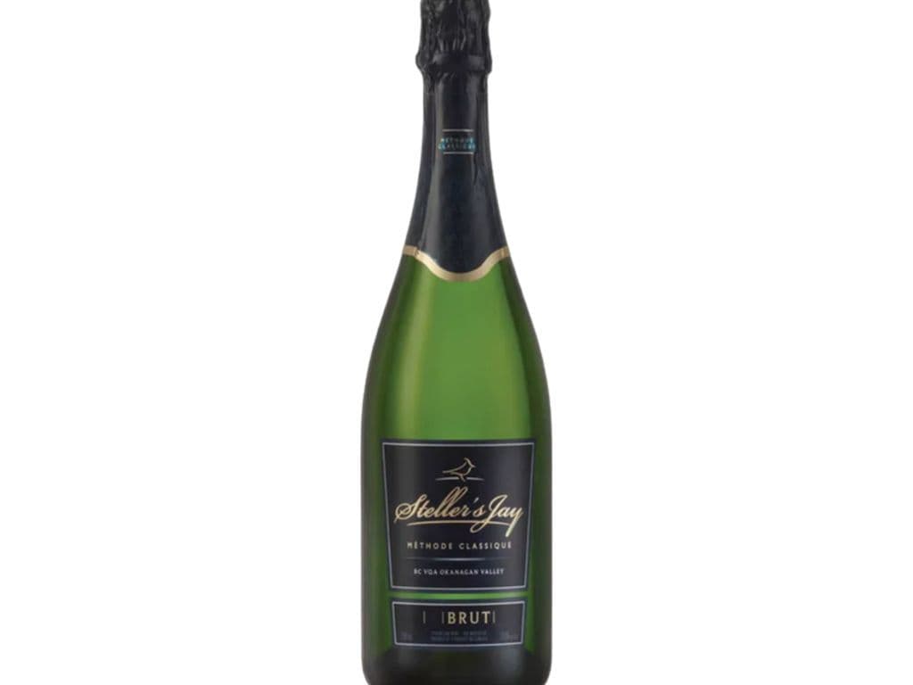 Stellers Jay - Brut