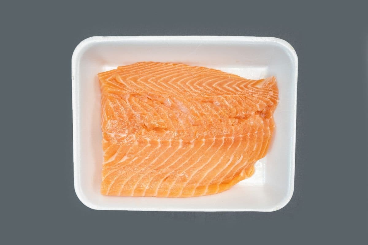 Fresh Salmon Fish