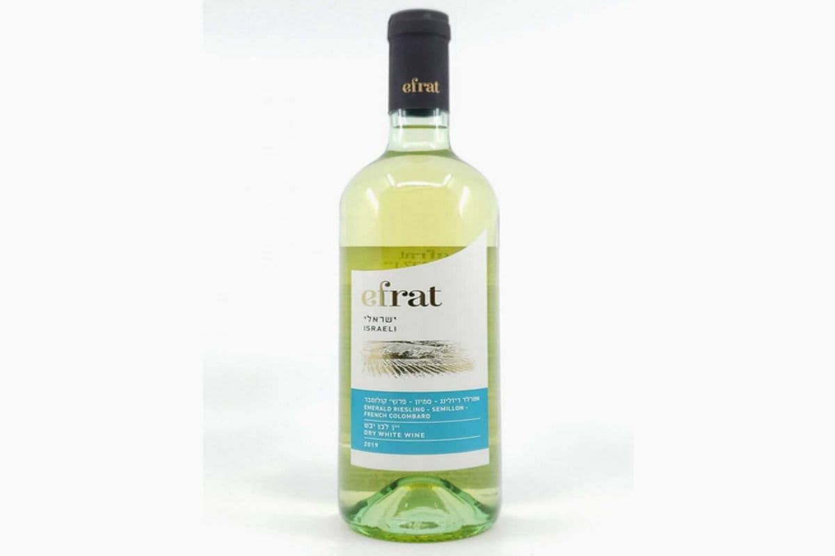 EFRAT JUDEAN HILLS RIESLING (1 x 750 ML)