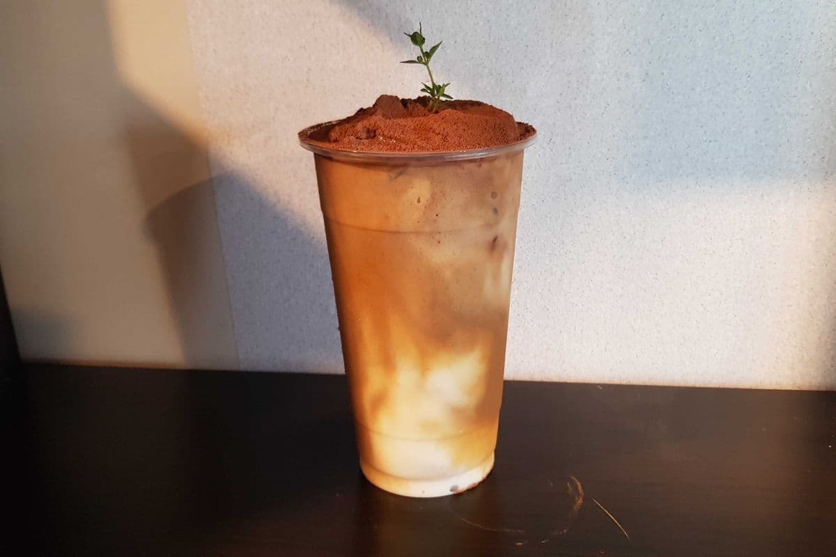 Tiramisu Fraffe