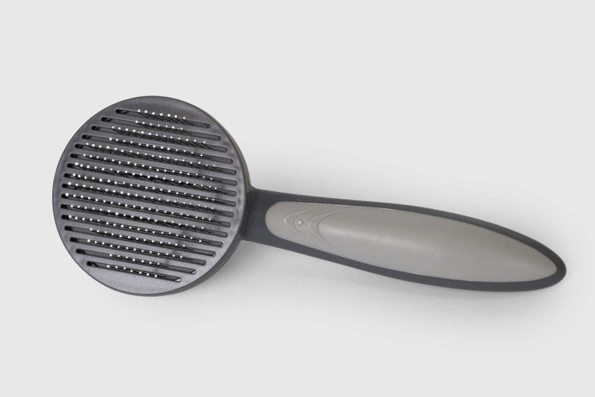 Slicker Brush – Grooming Tool