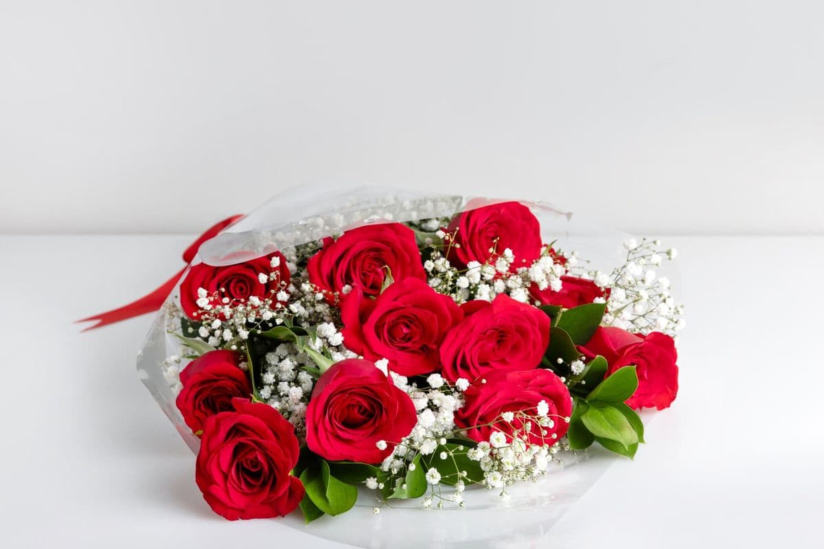 One Dozen Roses In Presentation Style Wrap