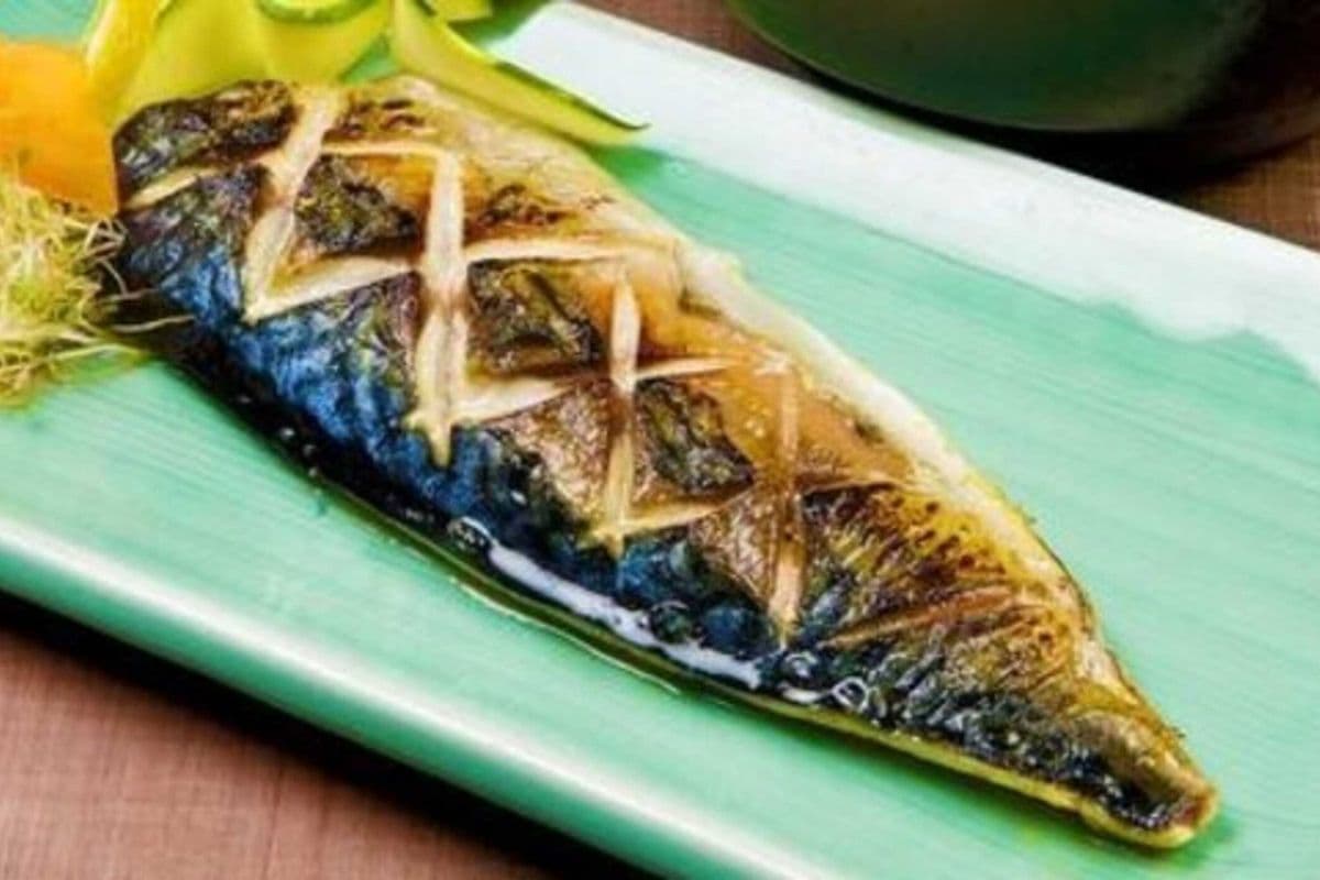 Y09 Grilled Mackerel