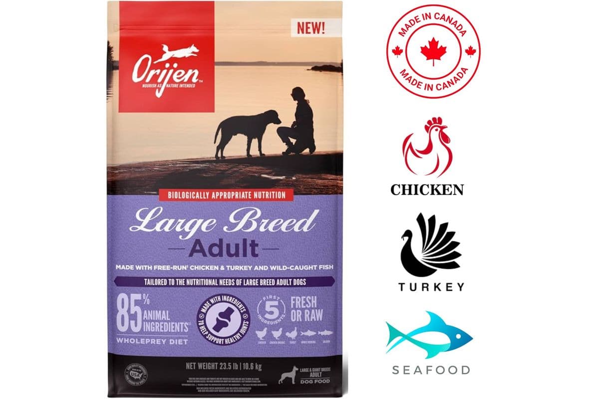 Orijen - Adult Large Breed Dry Dog Food (22 lbs)