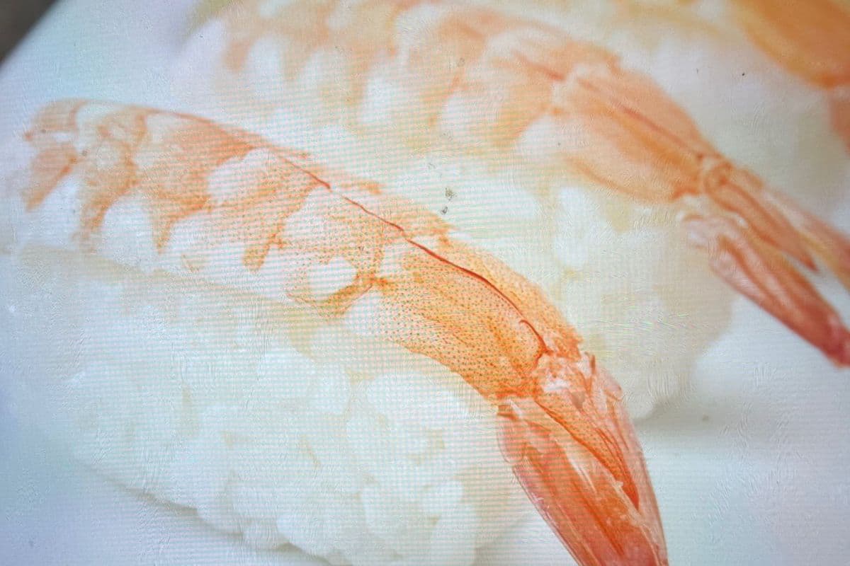 Ebi Nigiri （虾寿司）1pc