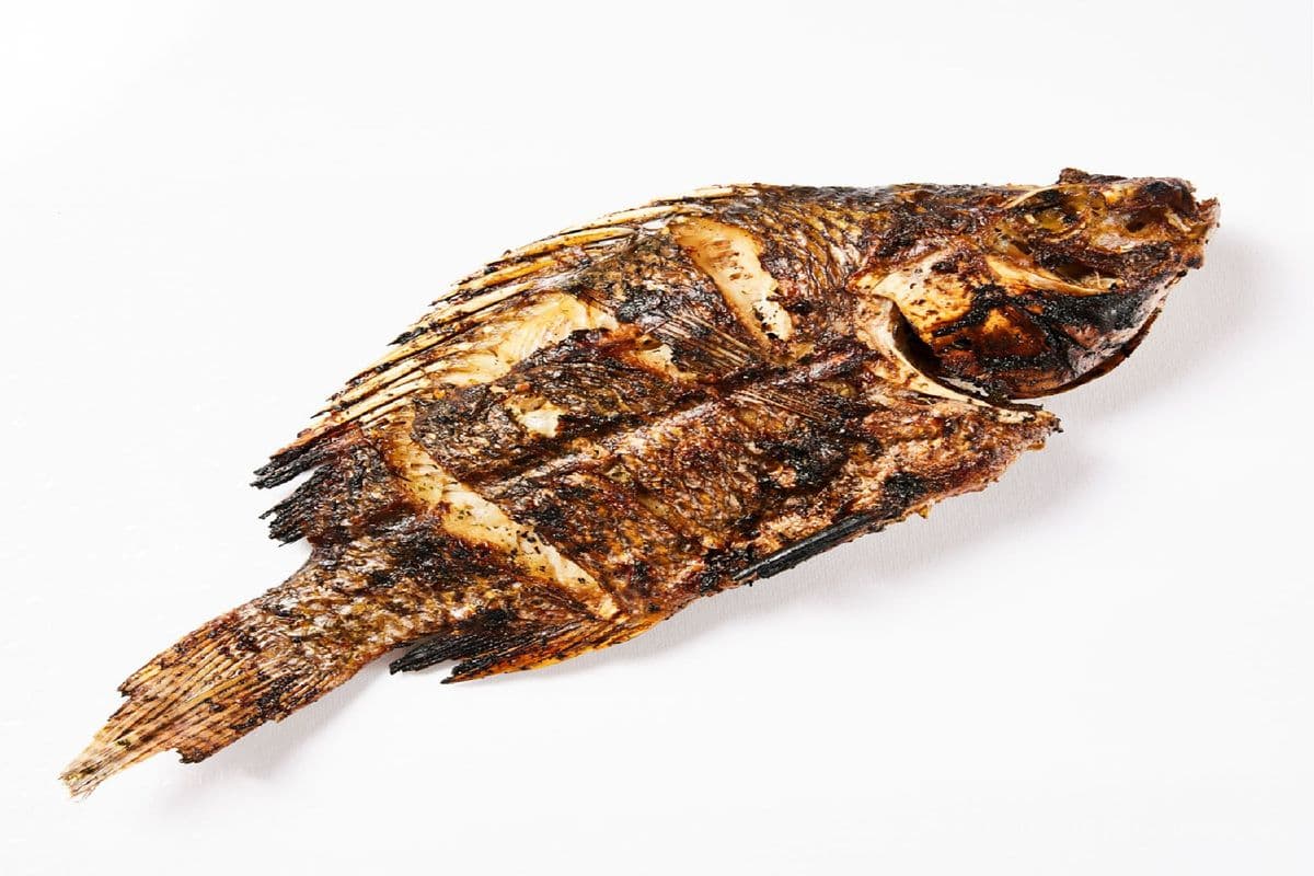 Poisson | Fish