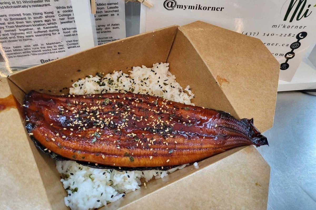 Grilled Eel Rice (Unagi don)