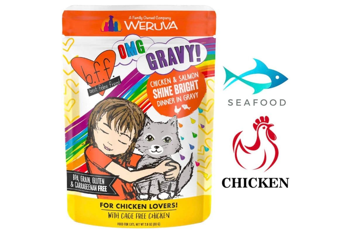 Weruva - BFF Shine Bright Wet Cat Food (3 oz)