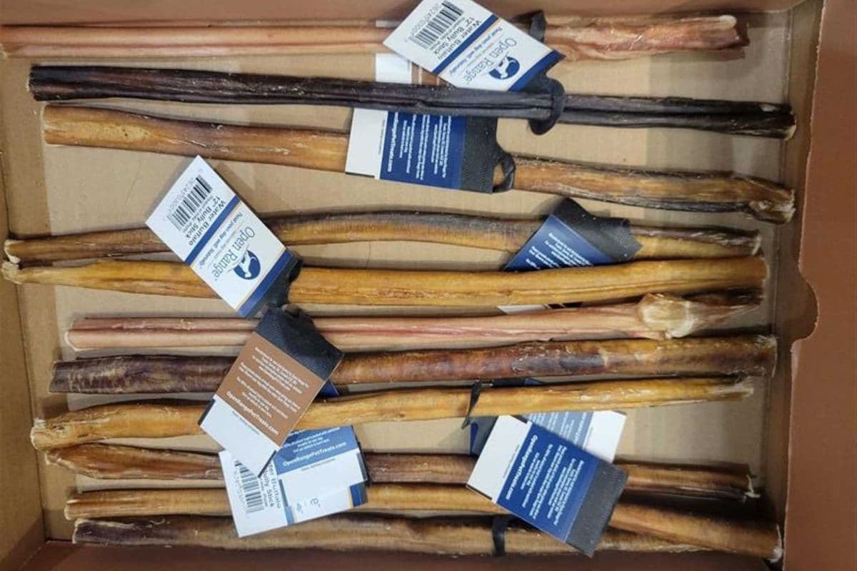 Open Range | Water Buffalo Bully Stick | 11"-12"
