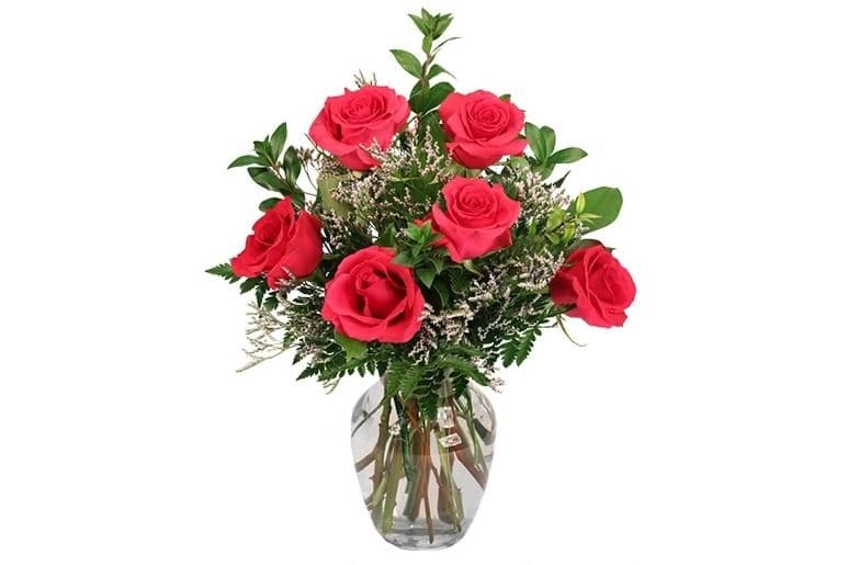 Vibrant Fuchsia Roses
