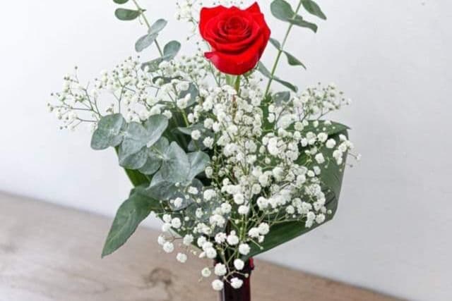 1 Red Rose with Baby's Breath