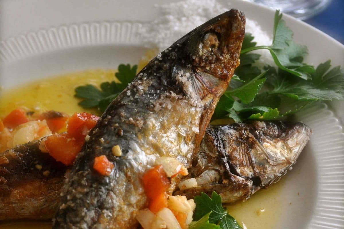 Entrée de sardines grillées / Grilled Sardines Appetizer