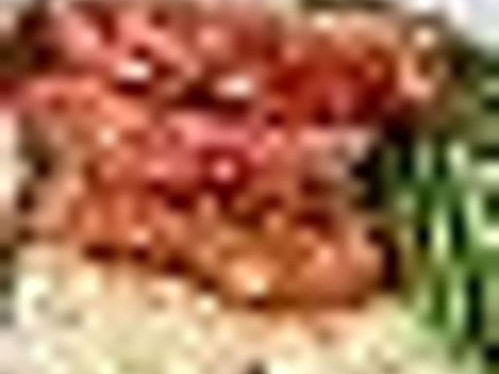 Meat loaf