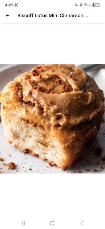 One Bun Caramel Pecan Cinnamon Bun