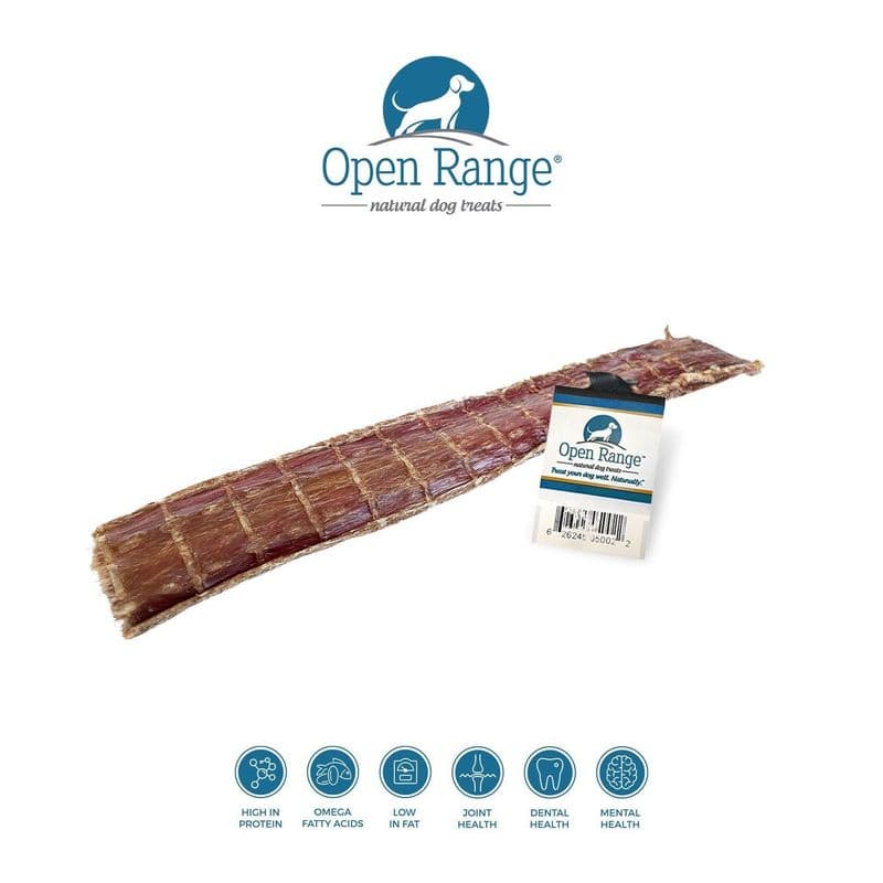 Open Range Beef Chomper Flattened Dog 60pc 11-12in