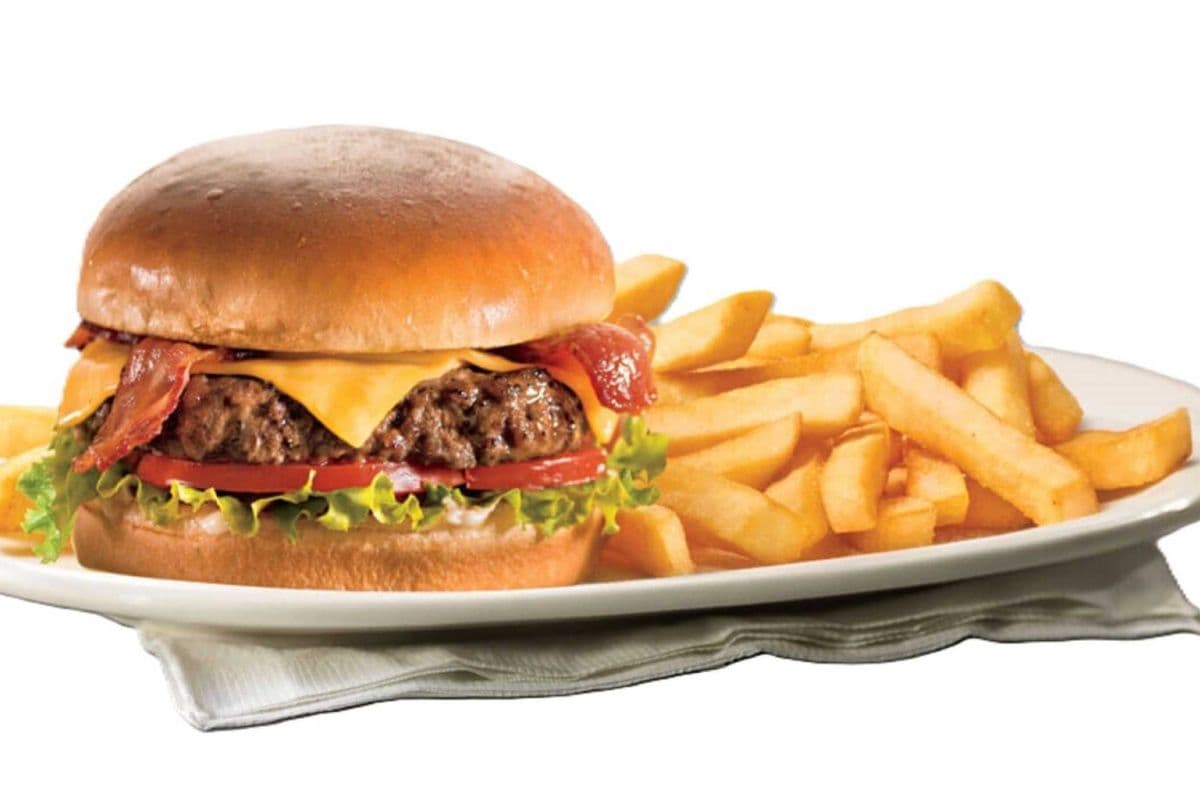 Cheese Burger with Fries