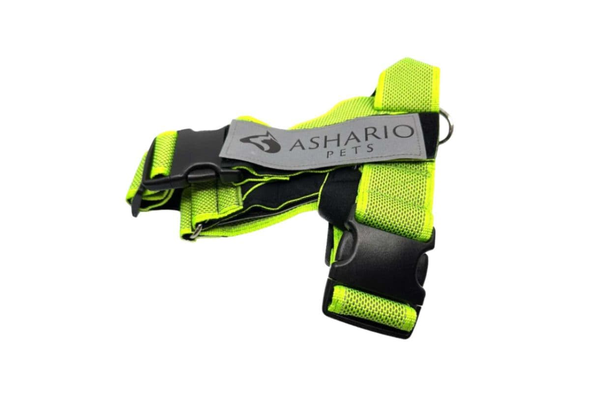 Ashario Pets - "BreezyVest" Summer Lightweight Reflective Harness - Fluorescent Green - L (L)