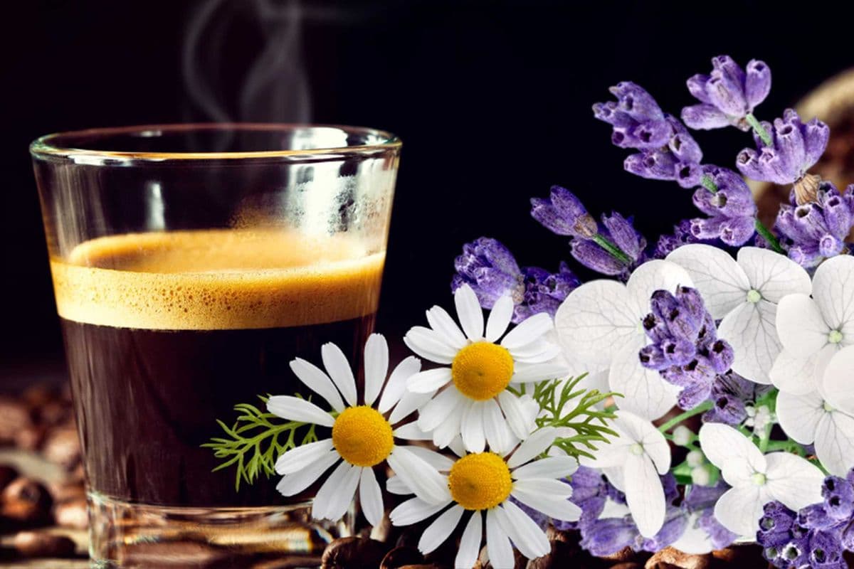 Ethiopian Specialty Coffee with Floral and Herbal Notes