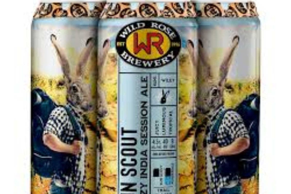 WILD ROSE SUN SCOUT - 4 CANS (4 x 473 ML) (4 x 4*473 ml)
