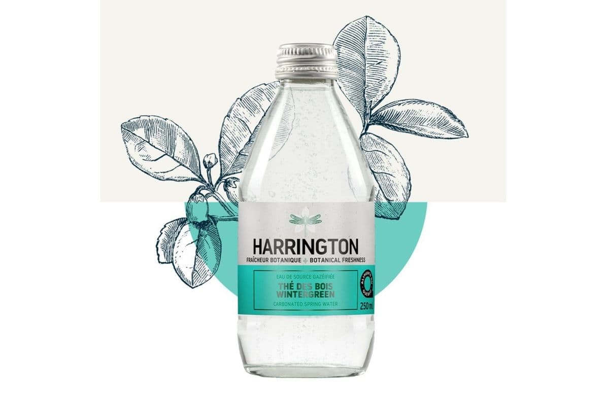 Eau de source gazéifiée – Thé des Bois