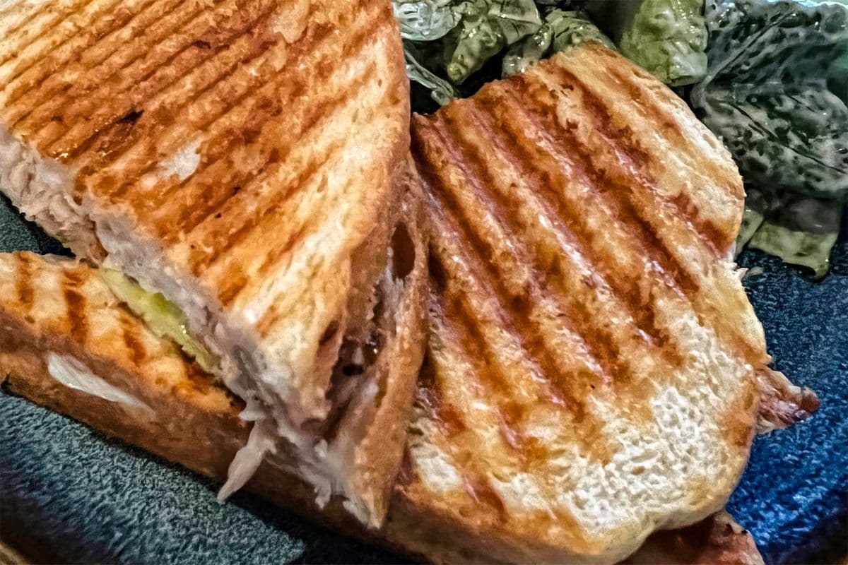 Turkey Cranberry Panini