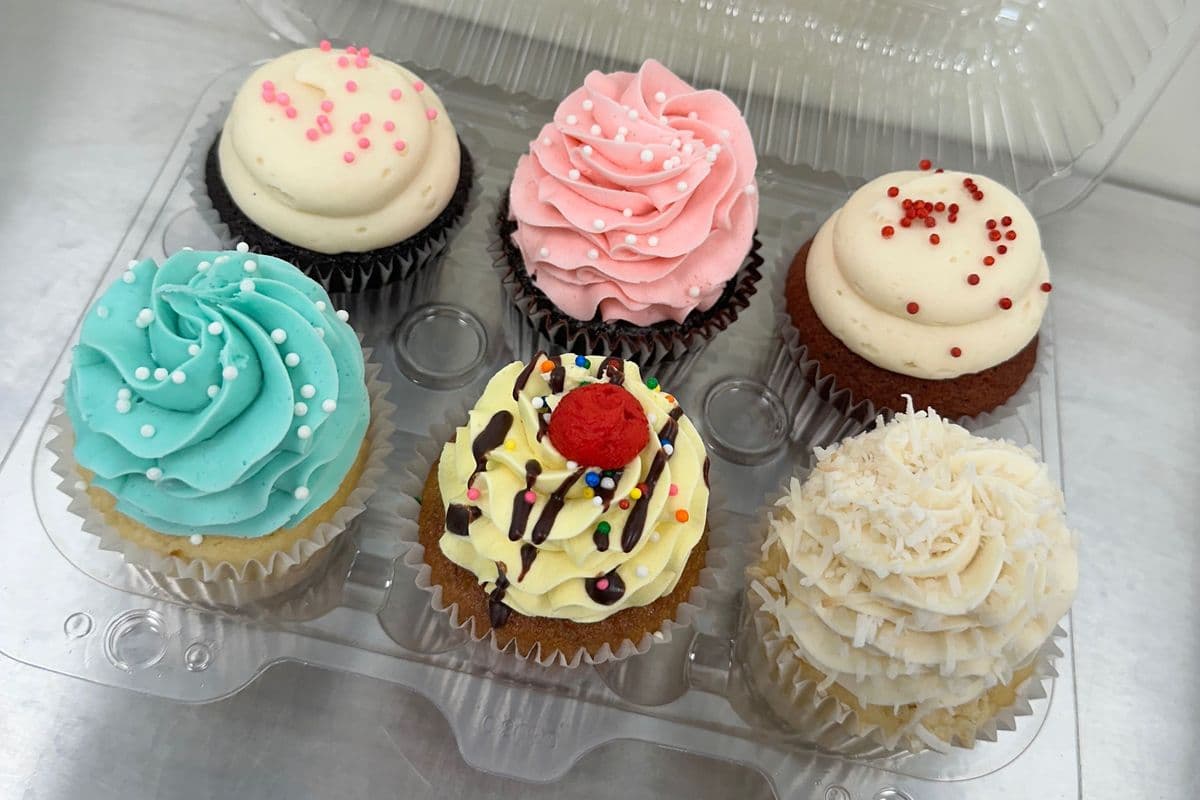 Fresh Cupcake : Option 1 (6 packs)