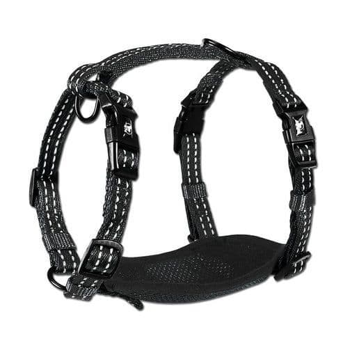 Alcott Adventure Harness - Black