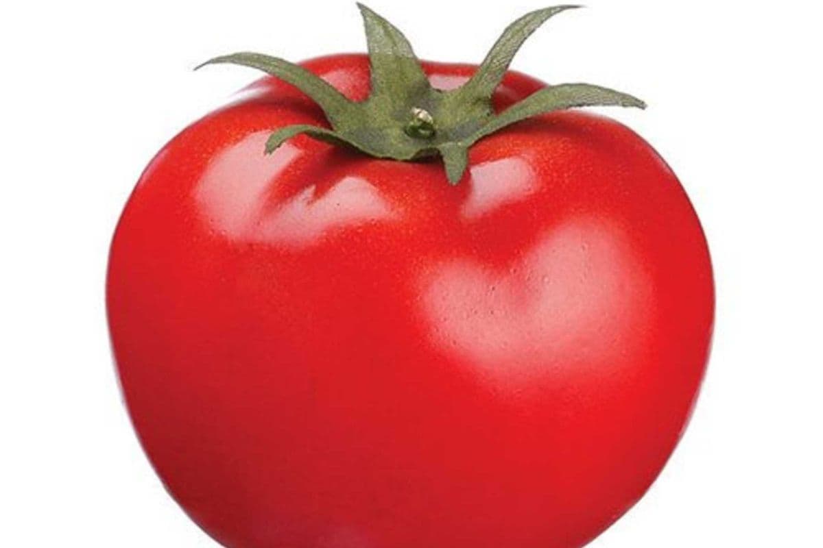 Tomato (1 Each)