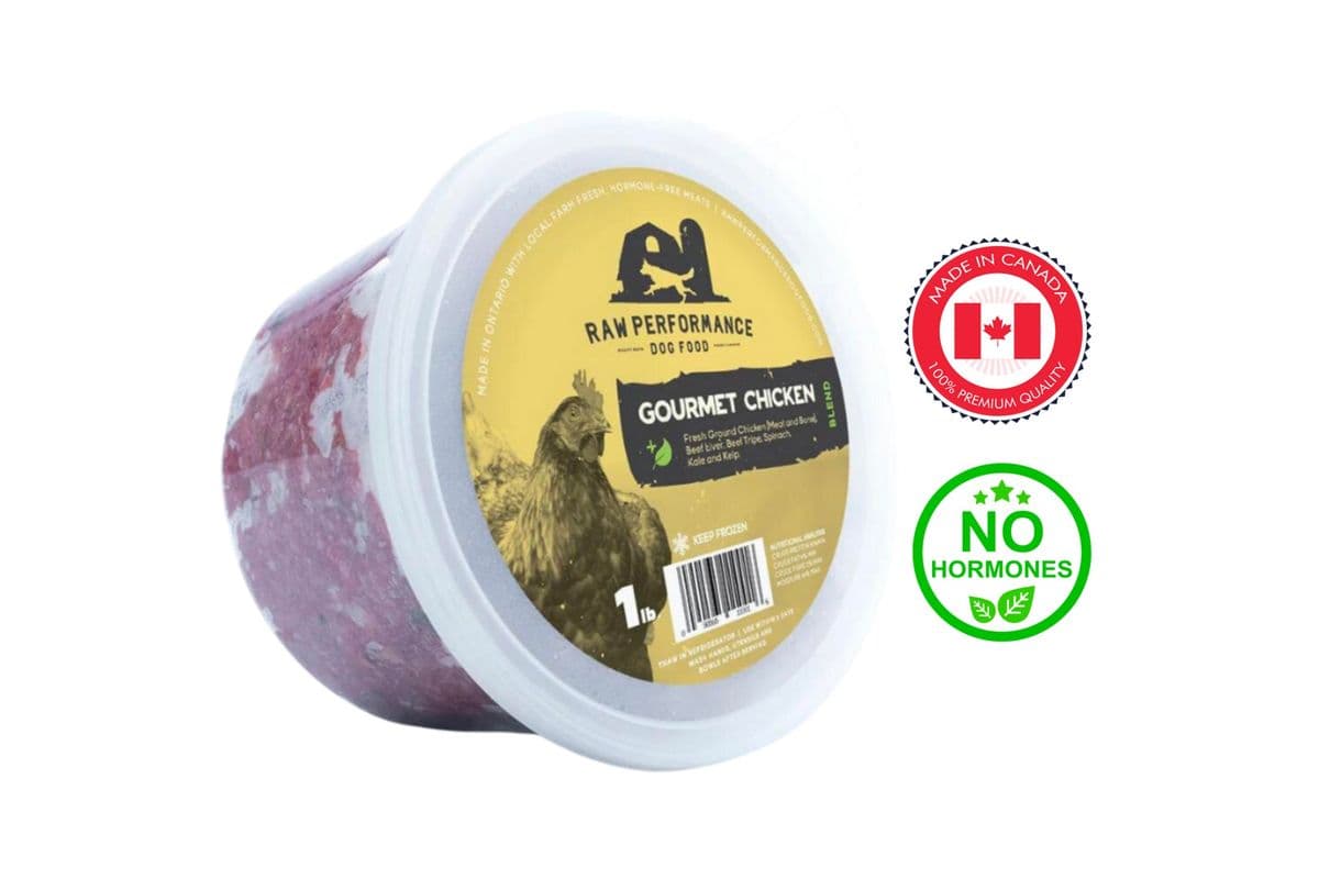 Raw Performance - Gourmet Chicken Raw Dog Food (1 lb)