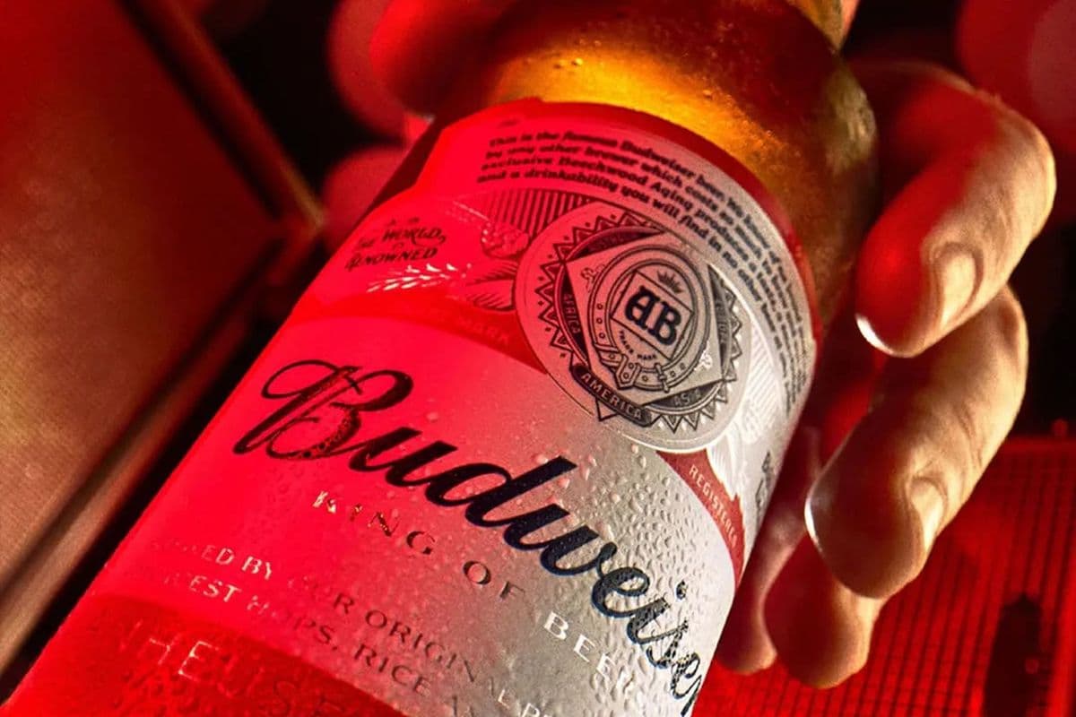 Budweiser (1 x 341 ml Bottle)