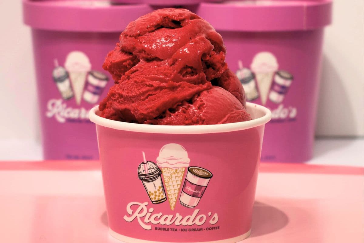 Raspberry Sorbet (Vegan)