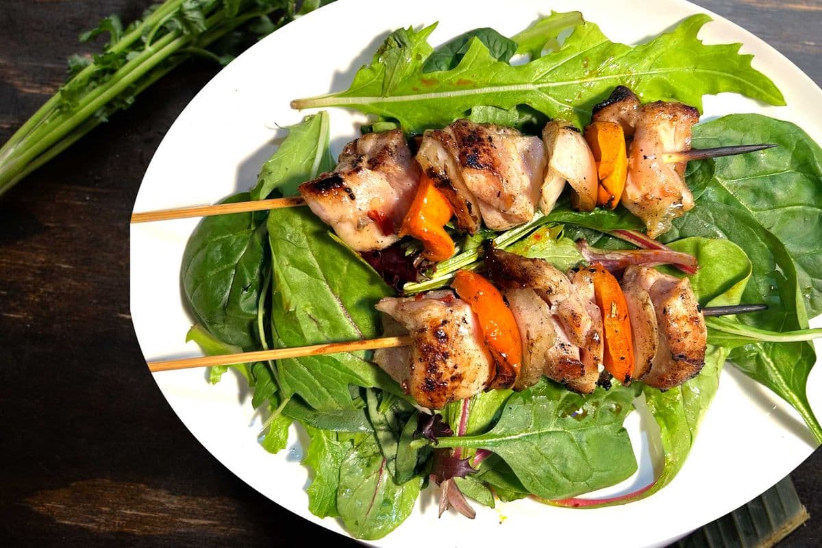 D03 - Grilled Chicken Skewers