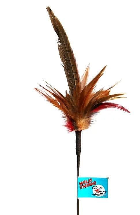 GO CAT Long Wild Thing 36in