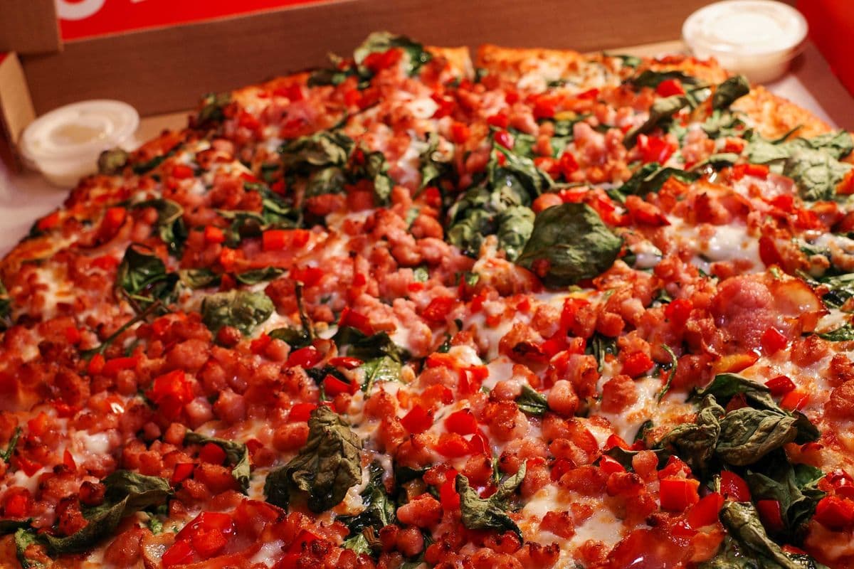 12" Gordon's Favorite (Medium)