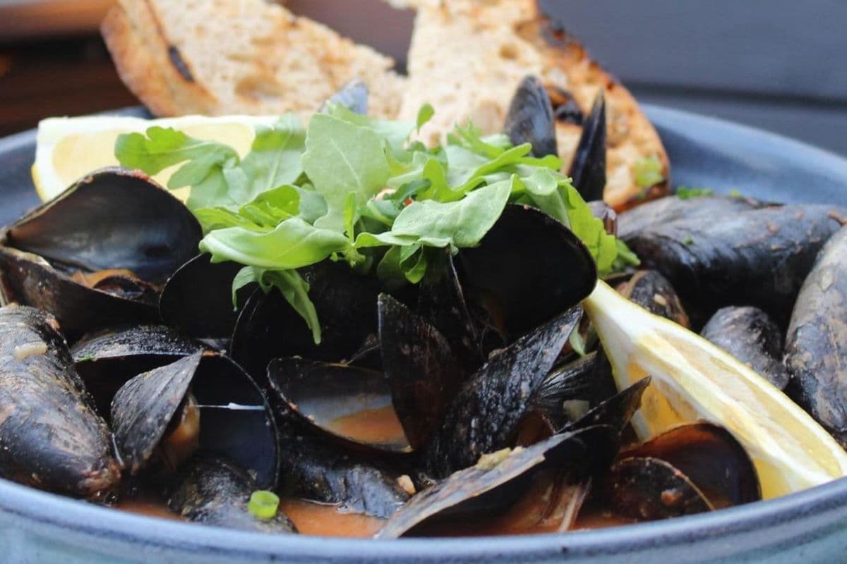 Steamed Mussels