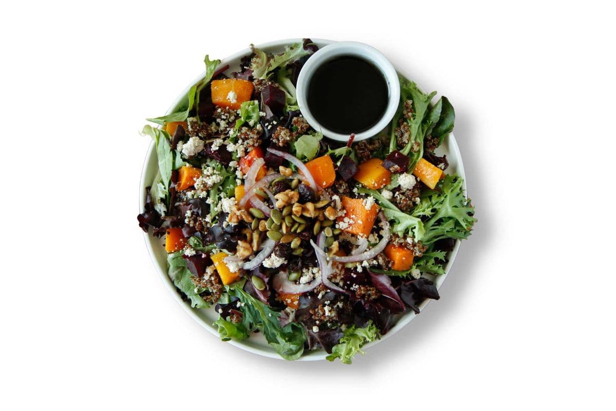Planted Meals The Unbeetabel Salad
