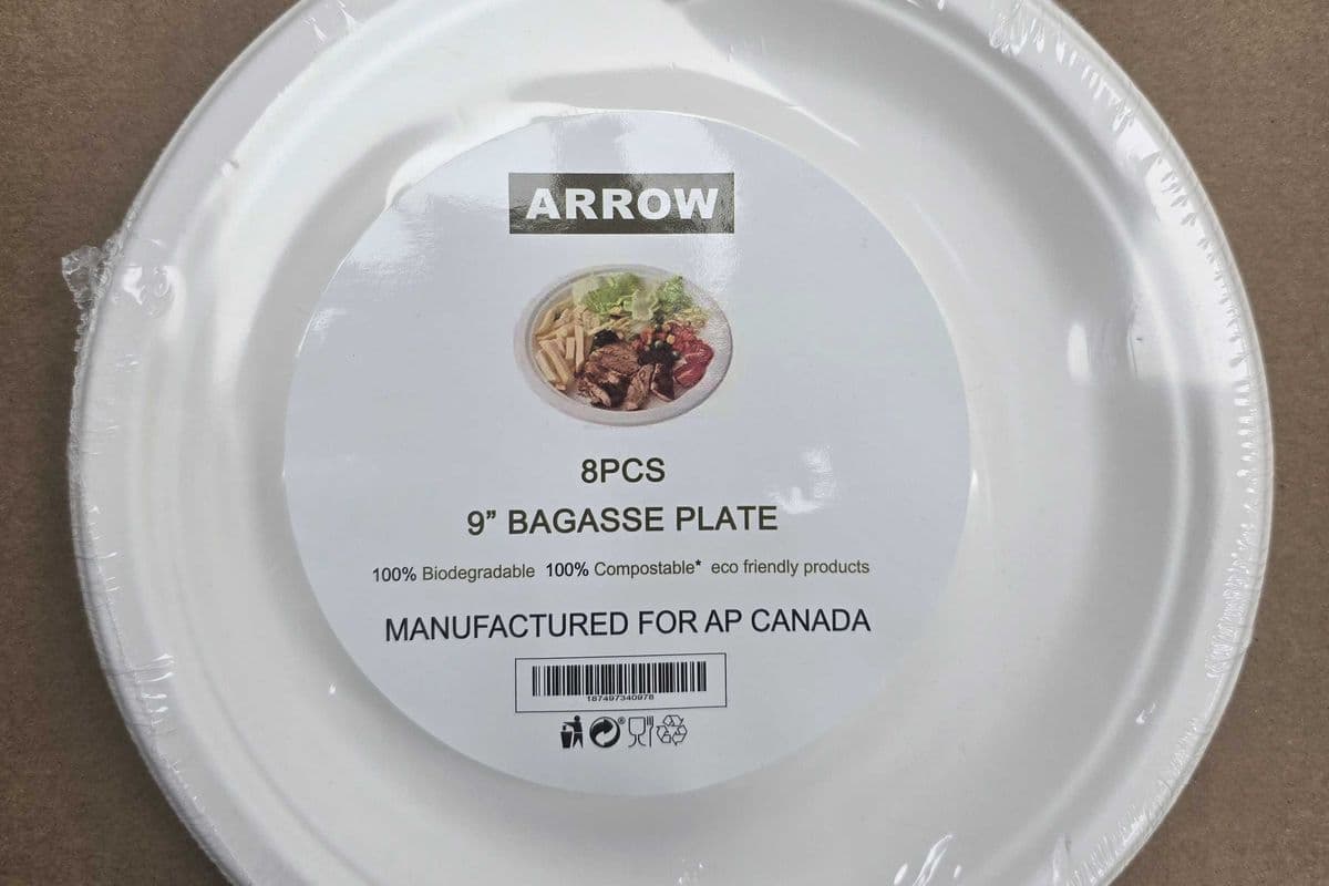ARROW PAPER PLATES 100% COMPOSTABLE (8pcs)