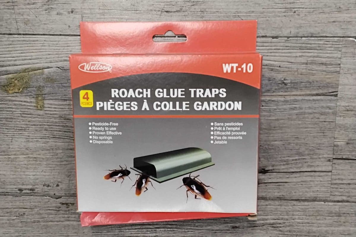 Roach Glue tape