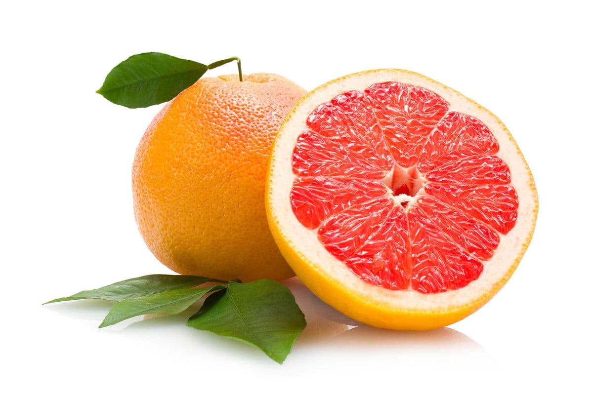 Grapefruit Large (each)