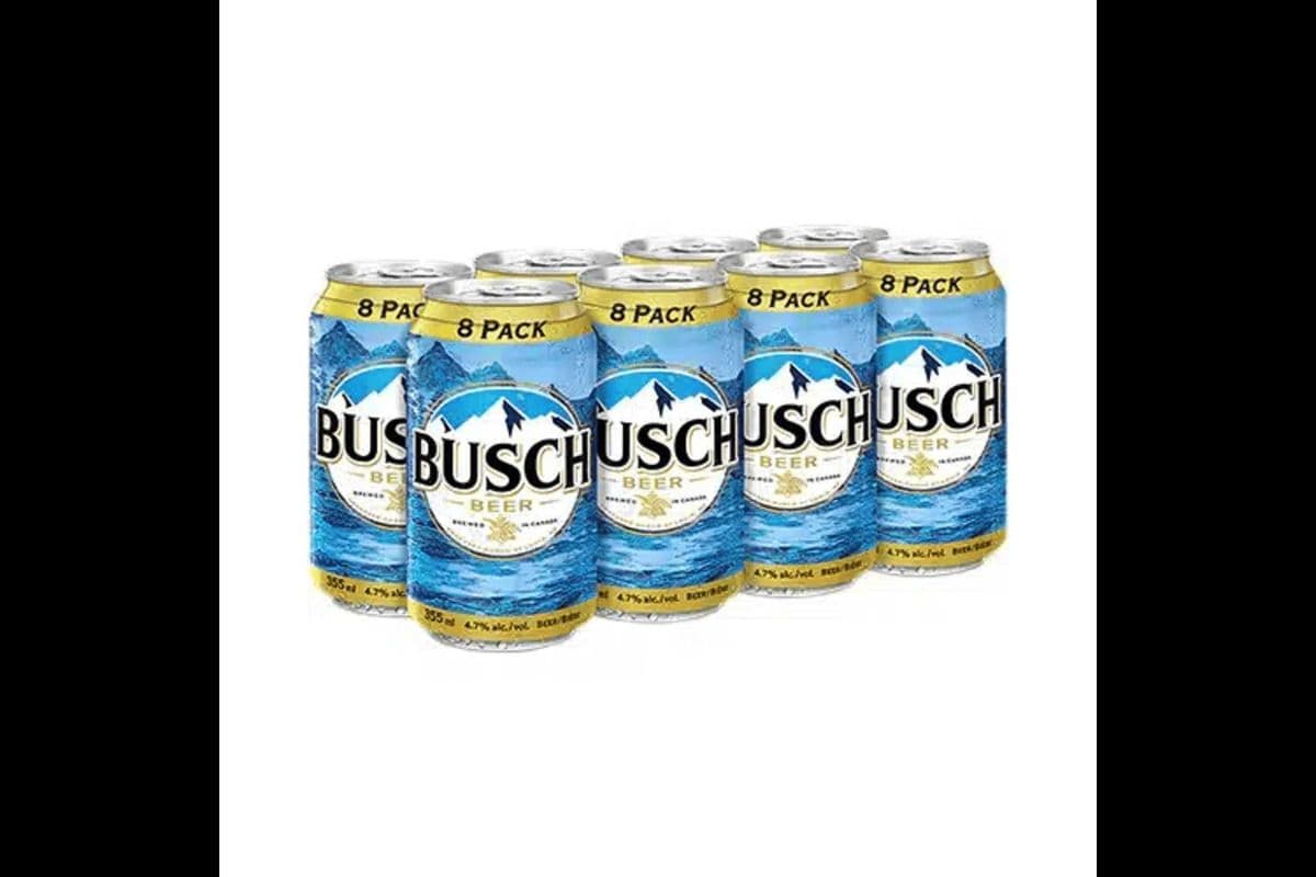 Busch (8 x 355 ml)