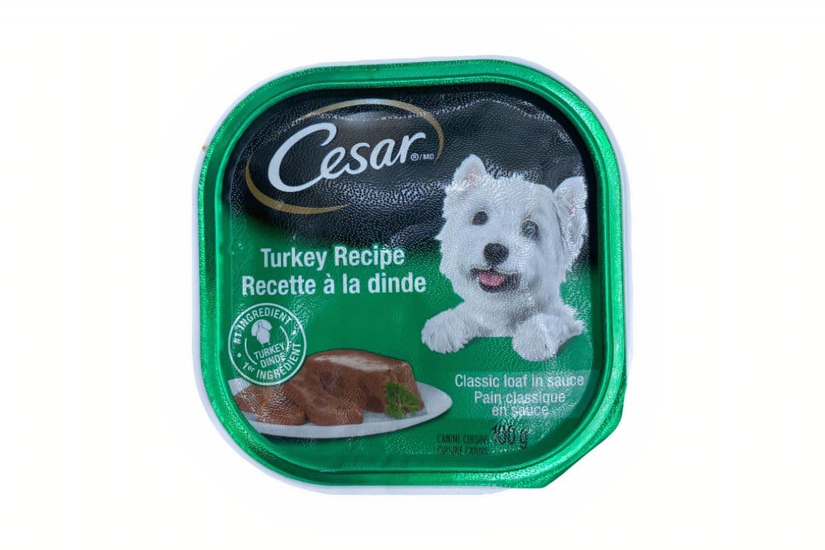 Cesar recette dinde / Turkey Recipe (100 g)