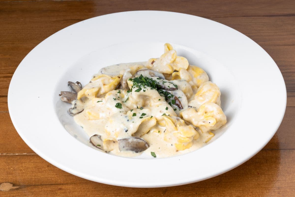 Sacchetti
