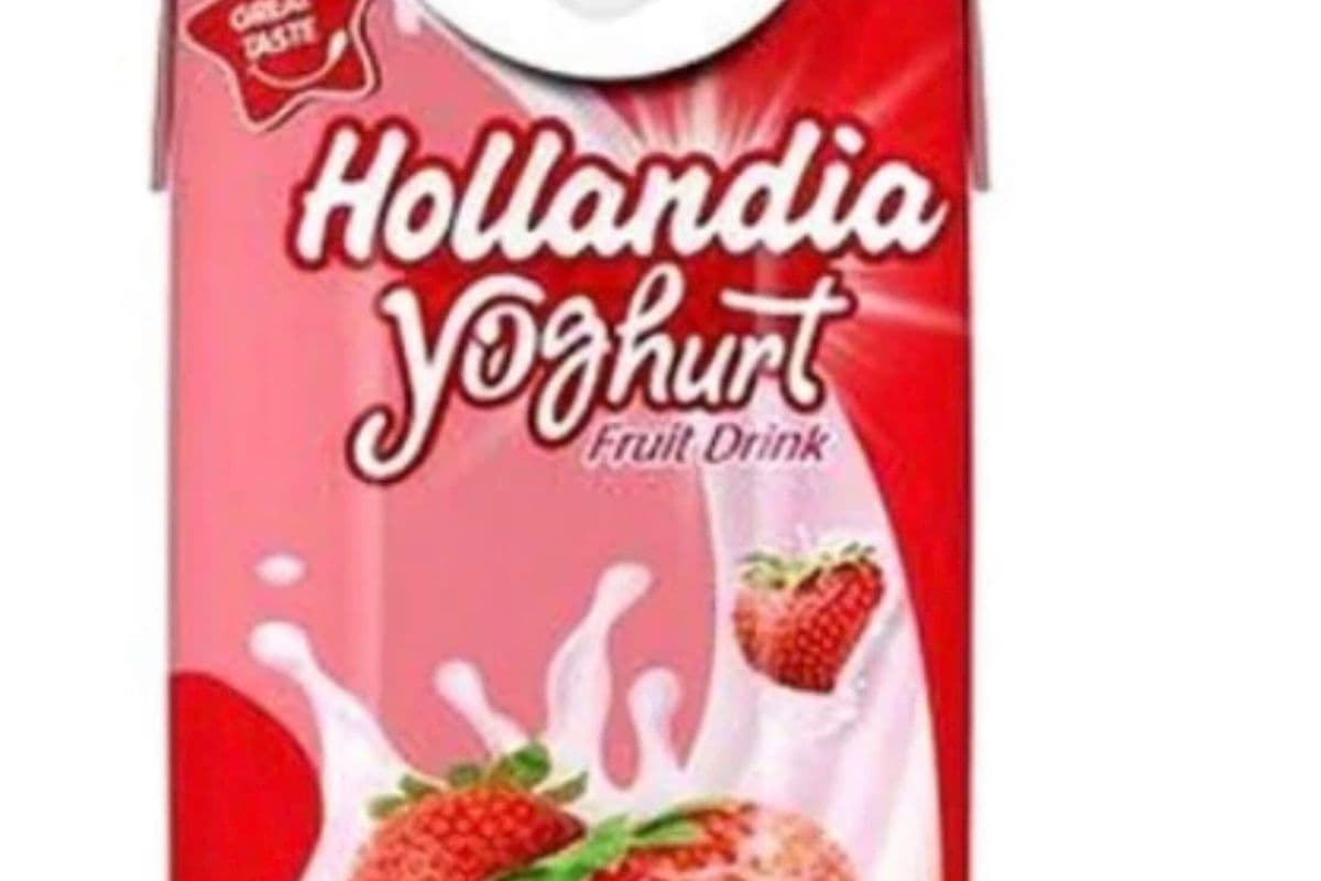HOLLANDIA YOGHURT STRAWBERRY