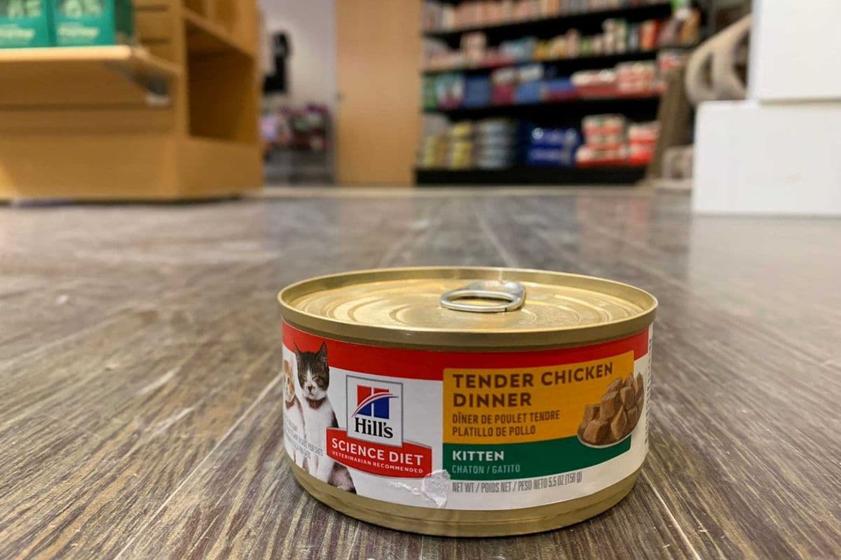 Hills | Feline | Wet | Kitten | Chicken Dinner | 5.5oz